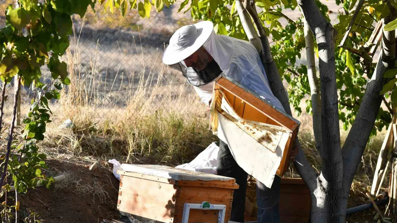 Dağıtılan arı kovanlarından bal hasadı yapıldı